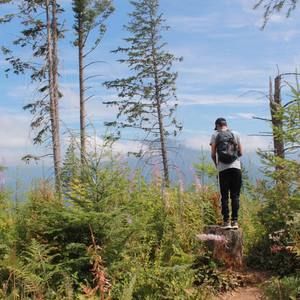 Meet your Posher, Saad